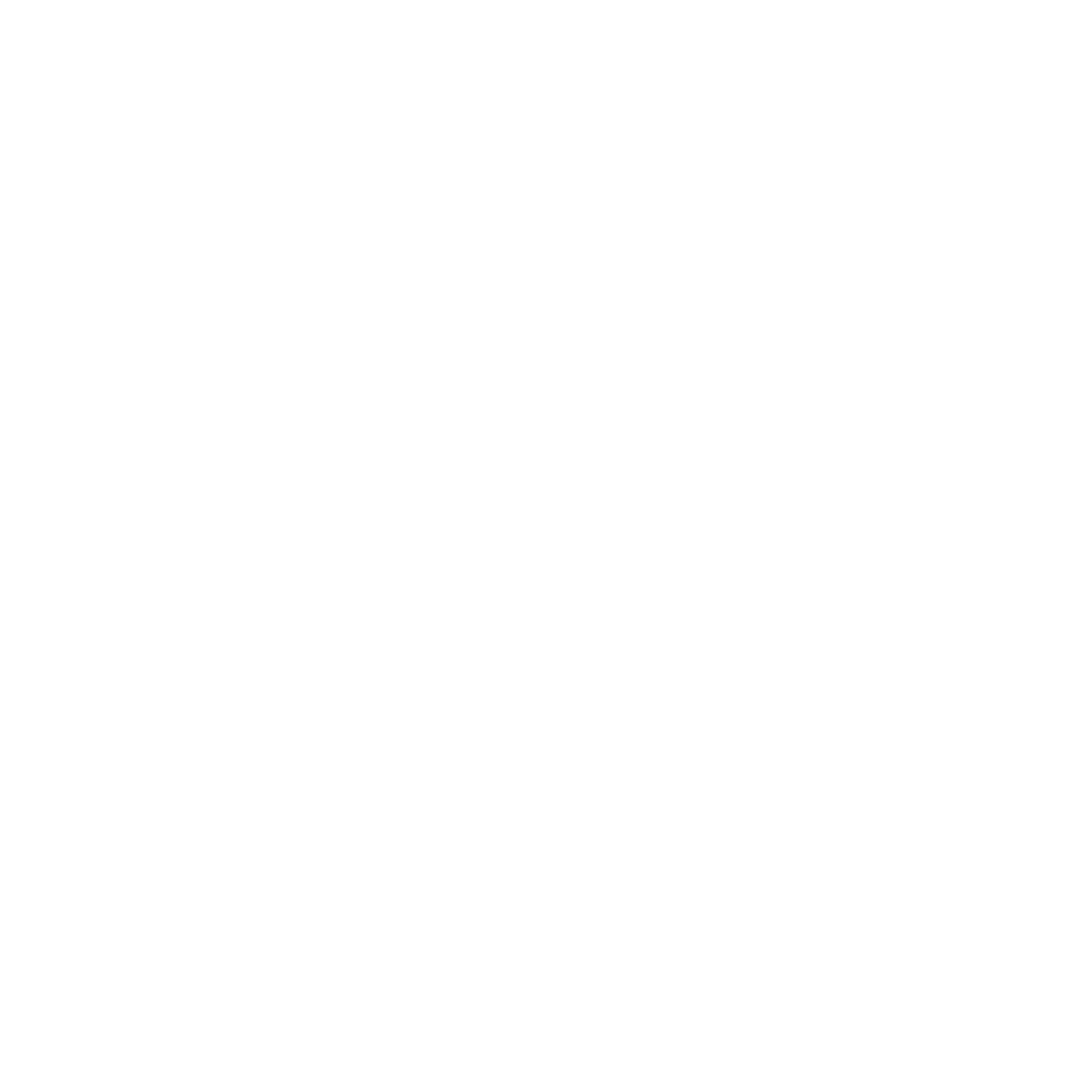 BW Lithium Batteries